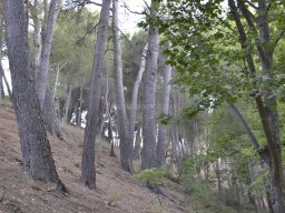 Ciudad de Caravaca 2012